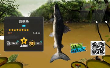 亚马逊河攻略(1)