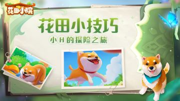 【游戏攻略】玩转花田小技巧——与小H的互动