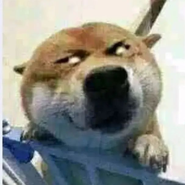 没啥好发的，给大家炫个威利吧截图