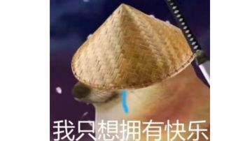 微氪玩家，全自动雅舍，二天满星通关。（满星图放楼下）