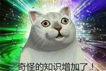 泰拉瑞亚奇奇怪怪的冷知识