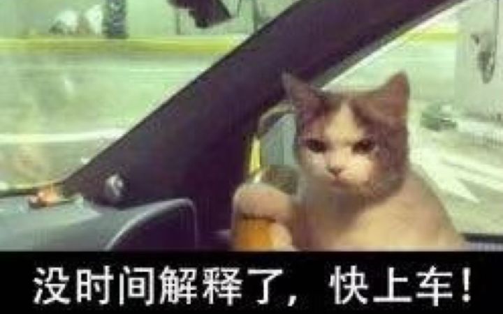 来自顶级反伤的建议:🐶都不玩,🐶看了都摇头截图