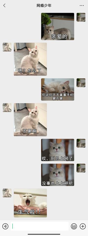 【表情包专栏】你瞅啥？没事别上网了，上上秤吧！