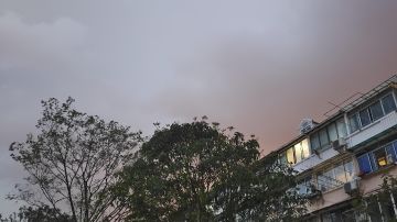 农民·新手·攻略