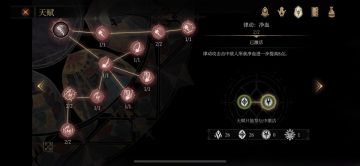 全面分析贝妮塔