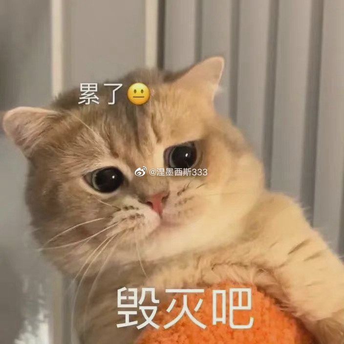 H10-3截图