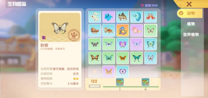 摩尔庄园捉小蝴蝶(全)截图
