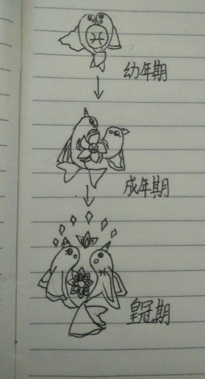 双鱼座截图