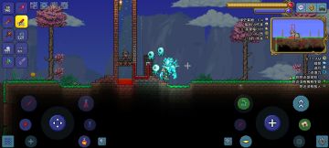 新手攻略ᶘ ͡°ᴥ͡°ᶅ