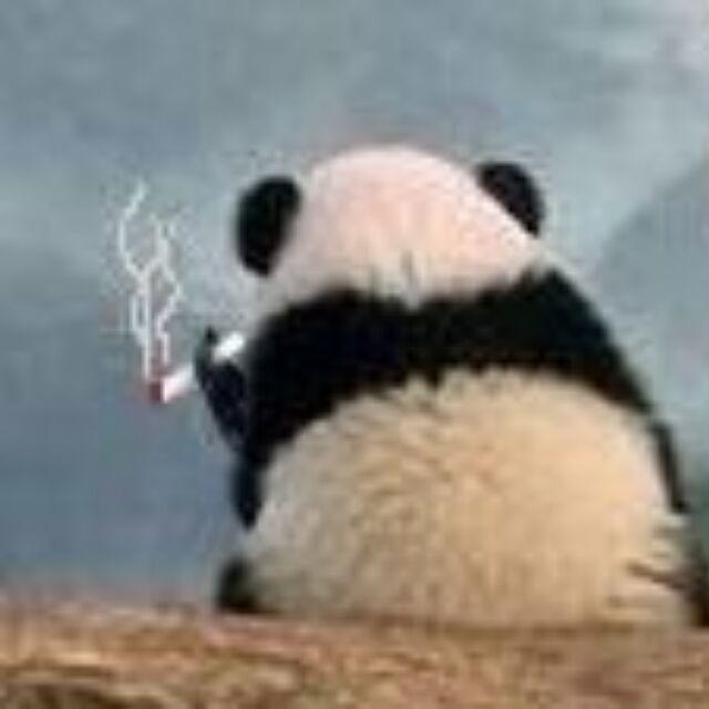 _(:зゝ∠)_截图