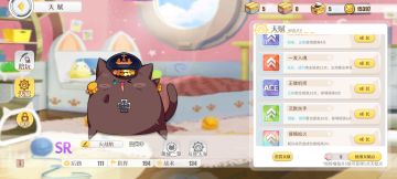 个人指挥喵自我点评