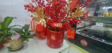 第6次队内友谊赛