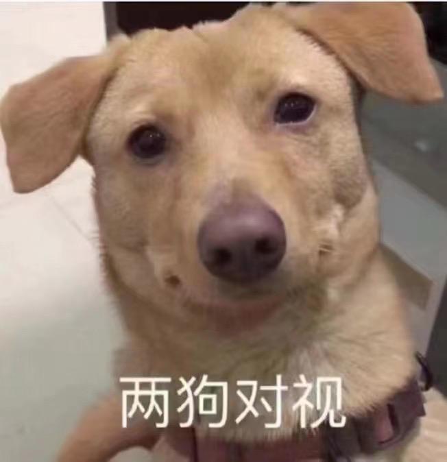 宝宝难受,宝宝憋屈,这两天给我揍的,妈都不认识我了,鼻青脸肿。截图