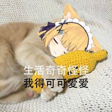 【狐】 遗迹B02困难难度宝箱位置已更新