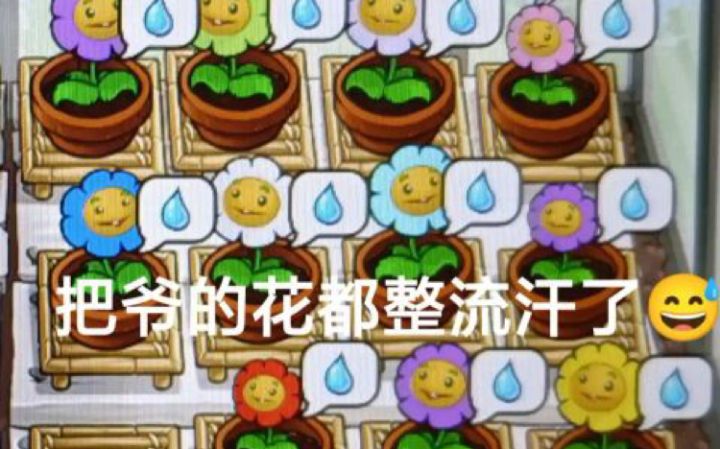 塔拉拉的娱乐对决截图