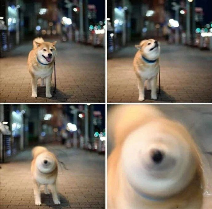 牙通牙截图