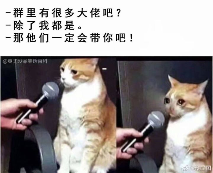 龙息现状截图