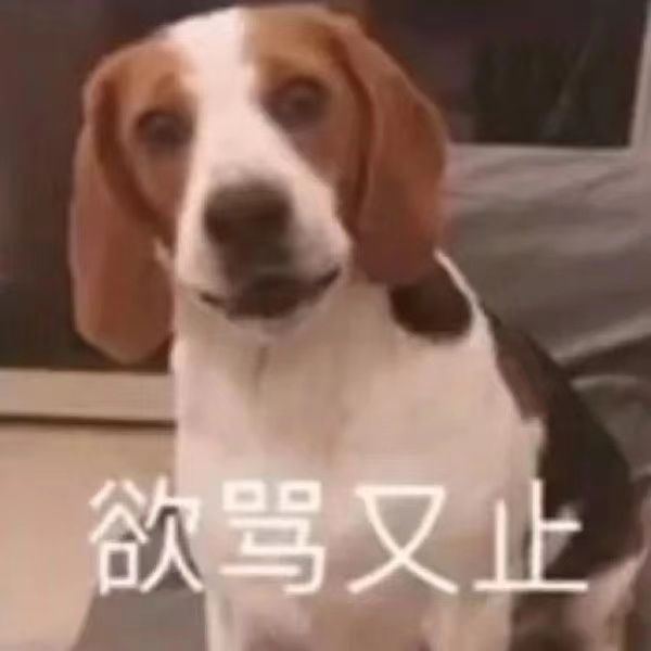 实锤的建议截图