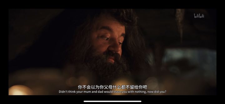 重温了一遍哈利波特与魔法石截图