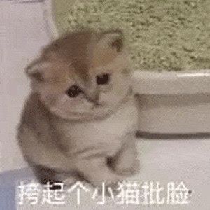 大佬们,这游戏苹果跟安卓互通吗截图