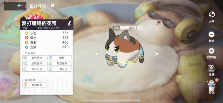 关于猫球截图