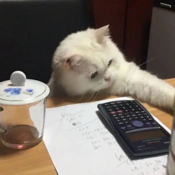 某佛系玩家修炼随笔截图