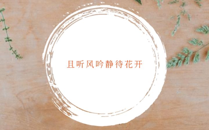 招租啦,5500且听风吟、10373静待花开截图