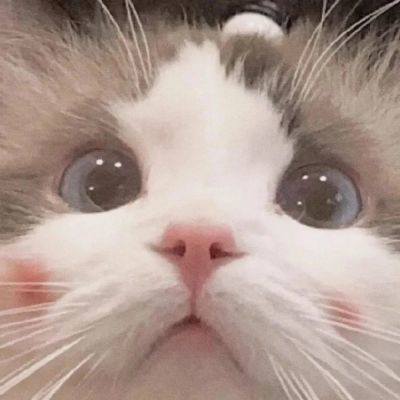 求大佬告诉一下截图