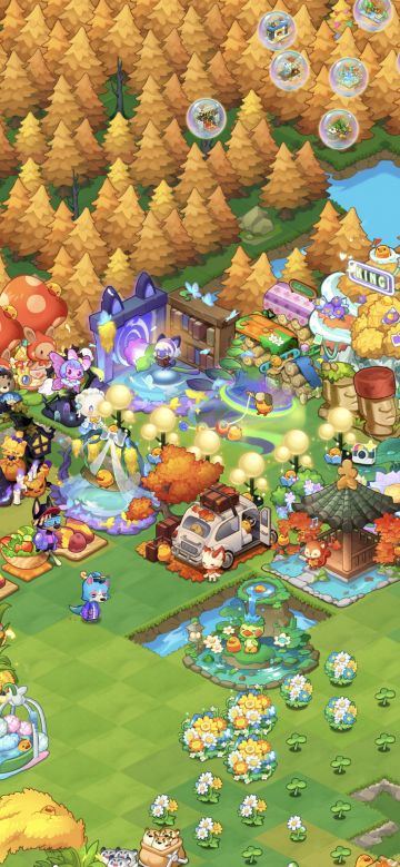 周年森日会｜老阿姨的休闲时光