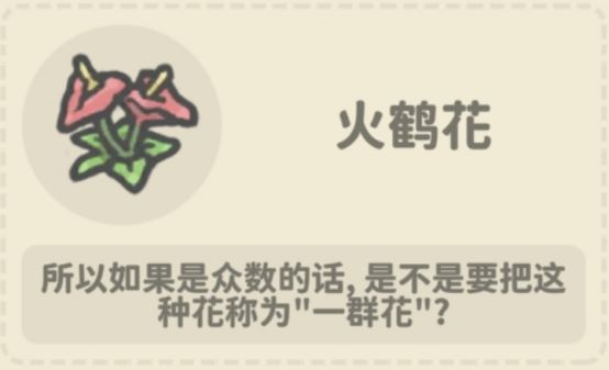 关于花店中的一些花花(因为喜欢所以尝试做一些科普,第一次尝试,爱月兔!)截图