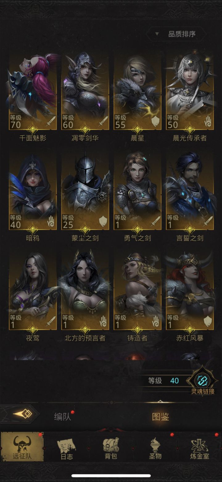 求问大佬怎么配队啊截图