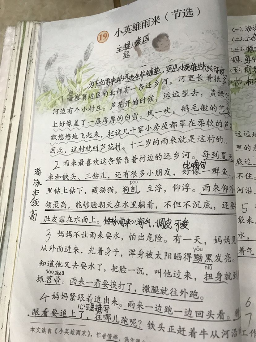 小学语文的字数大佬-小英雄雨来(节选)截图