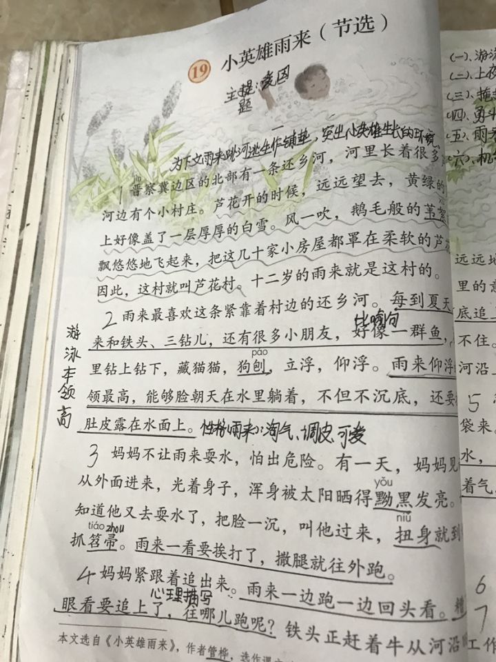 小学语文的字数大佬-小英雄雨来(节选)截图