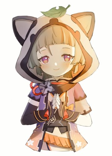 研究下草神配队，娱乐和强度向都有