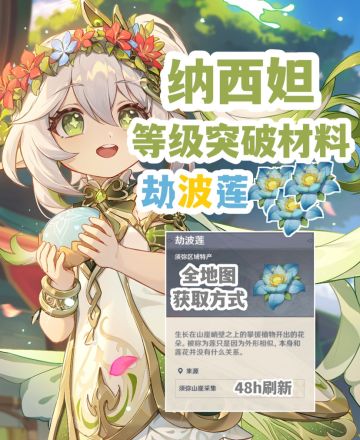 『原神』劫波莲全地图获取方式攻略（83朵）