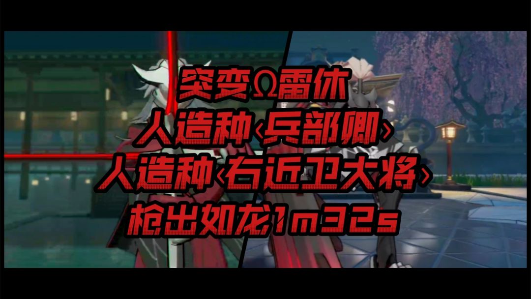 video-3089856