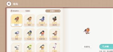 （测试观鸟篇）写个攻略存贴免得公测忘记了