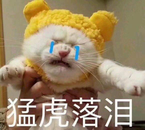 给运营大哥磕一个、太爽了、感谢截图