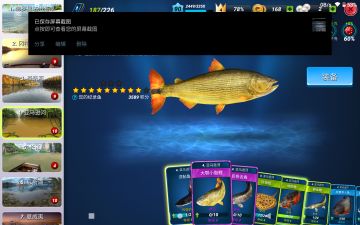 亚马逊河攻略(5)