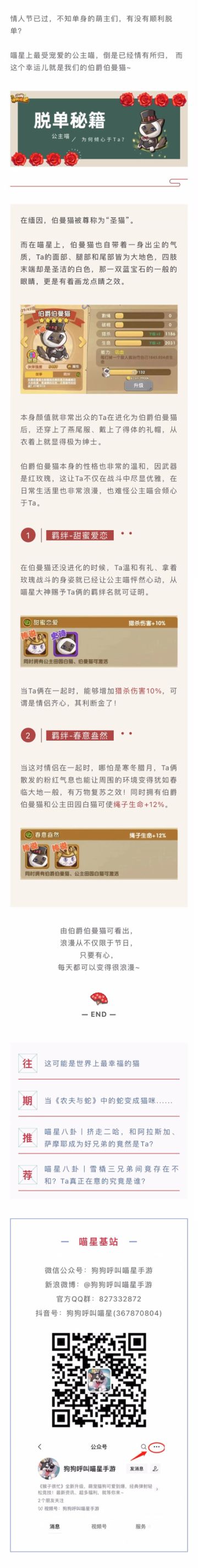 喵星羁绊丨脱单秘籍，是什么让公主喵倾心于Ta？进来感受下爱情的力量！