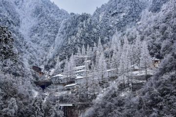 【讨论话题】大雪将至，少年那边下雪了吗？