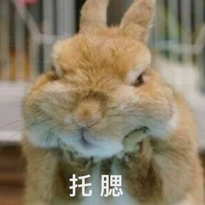 缺钱截图