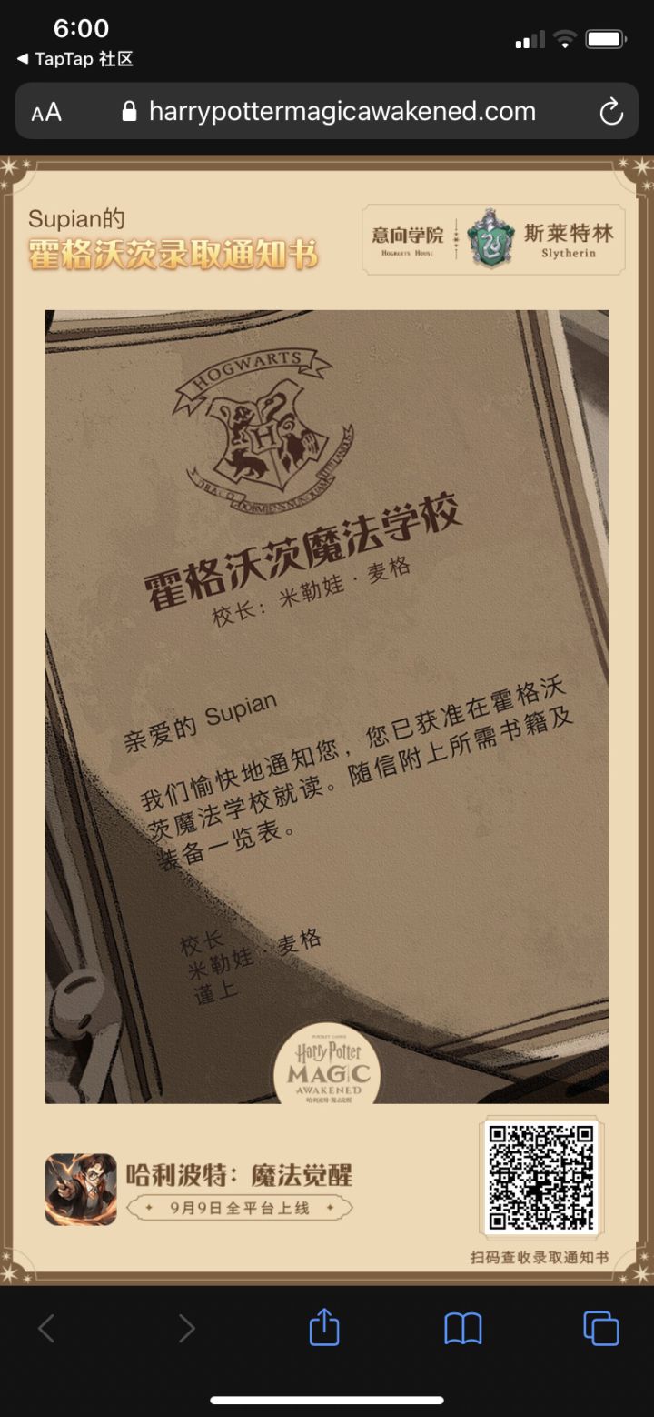 我被霍格沃茨录取了截图