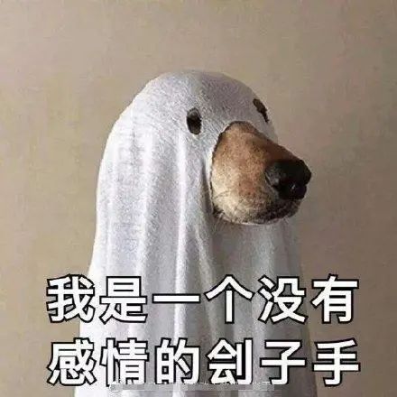 身法:不合时宜的大小姐截图