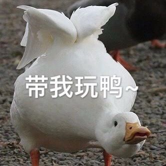 拳套池子单抽和十连有区别吗?截图