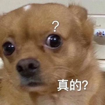 刚来的，听说要关服了真的吗