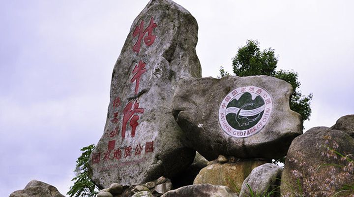 打卡第三天截图