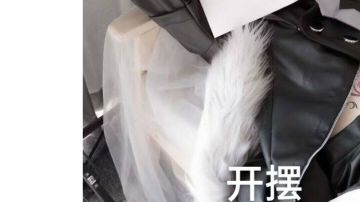 开局在老区还是新区？不必纠结！超进化物语养成篇——选区（2）