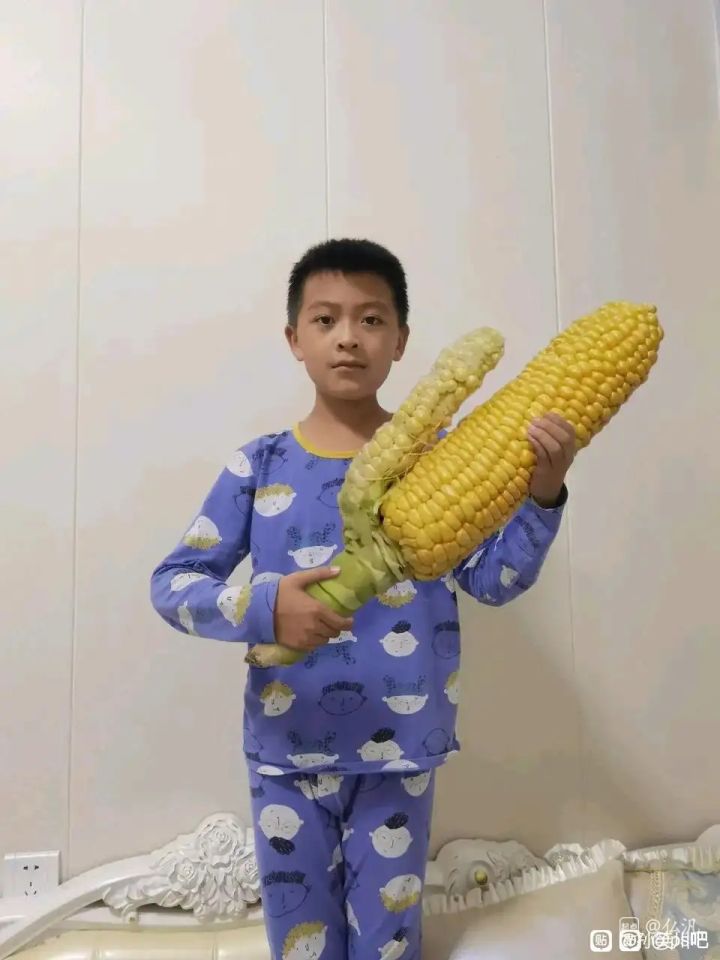 多少关可以解锁五十级别截图
