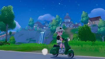 鸟类图鉴（未完结）仅以我找到的地区